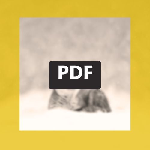 Joulurauhaa &ndash; S&auml;hk&ouml;inen pdf-kortti