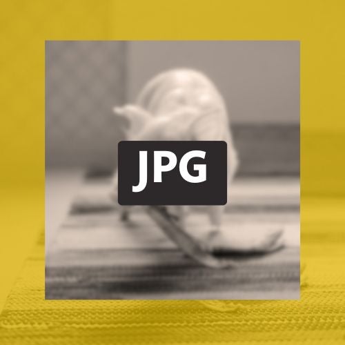 Oikeus onnelliseen el&auml;m&auml;&auml;n &ndash; S&auml;hk&ouml;inen jpg-kortti